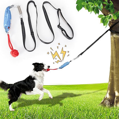 Dog tug of war Toy with Squeak,Interactive Dog Pull Toy from Tree to Keep Them Busy, Multifunctional Combination Tether tug Toy with chew Ball