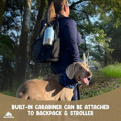 MurphyBlue Dog Water Bottle | 32 oz. Capacity Insulated Stainless Steel, Lid w/Built-in Carabiner, BPA Free Plastic Detachable Bowls, Portable Dog Water Bottles, Travel Bowls for Pets