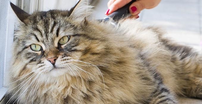 Cat Brush, Soft Pins