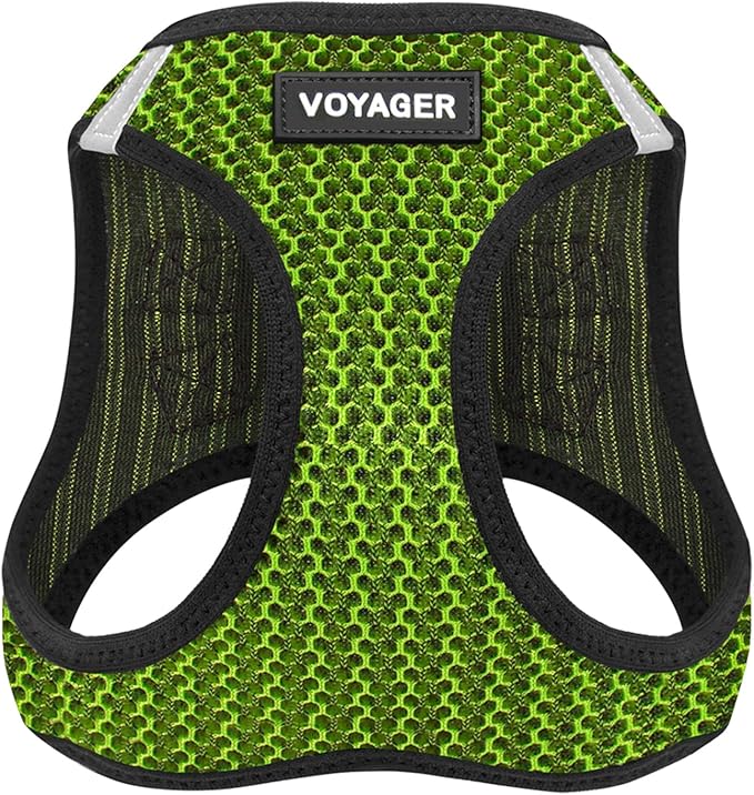 Best Pet Supplies Voyager Step-in Air Harness - All Weather Mesh, Reflective, No Pull Harness for Dogs, Cats - Secure with Hook & Loop Fastener, Buckle, Double D-Rings - Lime Green 2-Tone, M