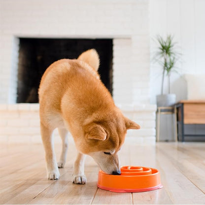 Outward Hound Fun Feeder Slo Bowl – Medium 2‑Cup Capacity, Slow Feeding, Small to Medium Dogs & Cats, Non-Slip, Orange, Swirl Pattern