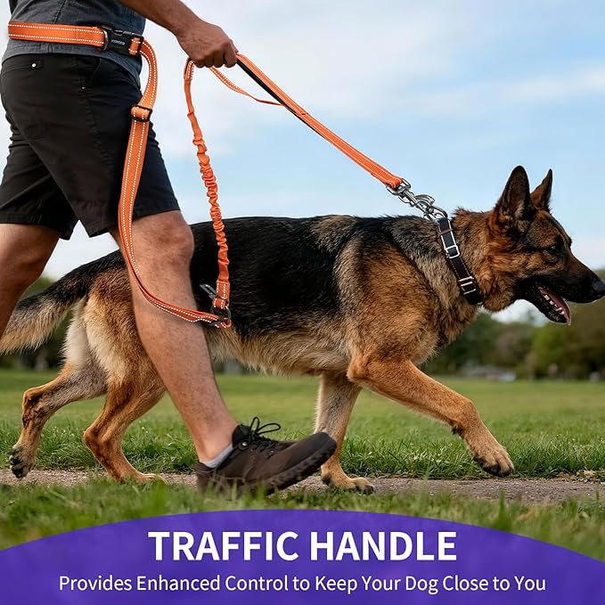 Kazazoo Hands-Free Dog Leash with 6-9FT Adjustable Length - Heavy Duty No Pull Bungee Design, Reflective Safety for Walking, Jogging & Training | Suitable for Medium to Large Dogs Orange L