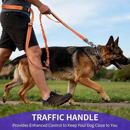 Kazazoo Hands-Free Dog Leash with 6-9FT Adjustable Length - Heavy Duty No Pull Bungee Design, Reflective Safety for Walking, Jogging & Training | Suitable for Medium to Large Dogs Orange L