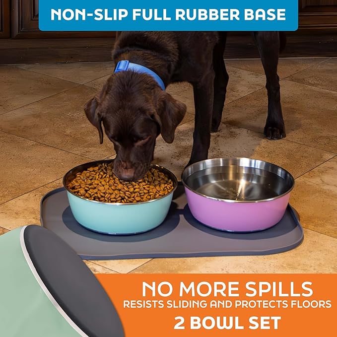 Master Pet Supply Stainless Steel Dog Bowls Set of 2 (128 Oz Each) with Non-Slip Rubber Base - Pistachio - Basic Dog Food Bowl Water & Food Bowls for Small Medium Large Dogs & Cats, Metal Dish