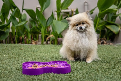LickiMat Small Slodog Suitable for Wet Food, Raw Food, Kibble and Treats. Perfect Feeder for Small and Medium-Sized Dogs. No Gulp and No Frustration. (Pink)