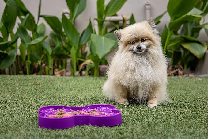 LickiMat Small Slodog Suitable for Wet Food, Raw Food, Kibble and Treats. Perfect Feeder for Small and Medium-Sized Dogs. No Gulp and No Frustration. (Green)
