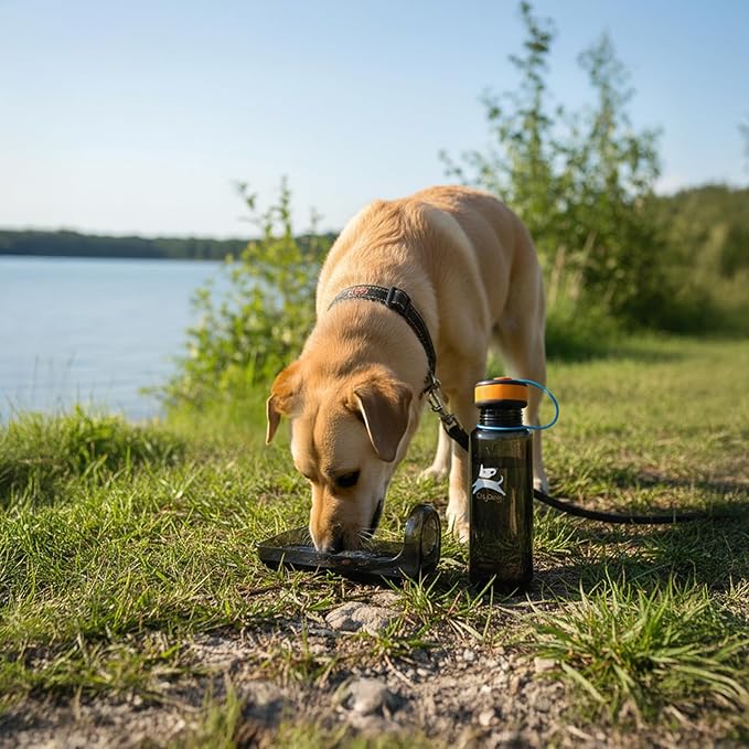 OllyDog OllyBottle, Dog Water Bottle with Detachable Bowl, No Spill Travel Bottle for Dogs, Wide Drinking Cup, BPA-Free Tritan, Easy Clean, Convenient for Walking & Hiking (1L, Chromatic)