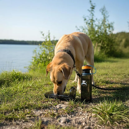 OllyDog OllyBottle, Dog Water Bottle with Detachable Bowl, No Spill Travel Bottle for Dogs, Wide Drinking Cup, BPA-Free Tritan, Easy Clean, Convenient for Walking & Hiking (1L, Chromatic)