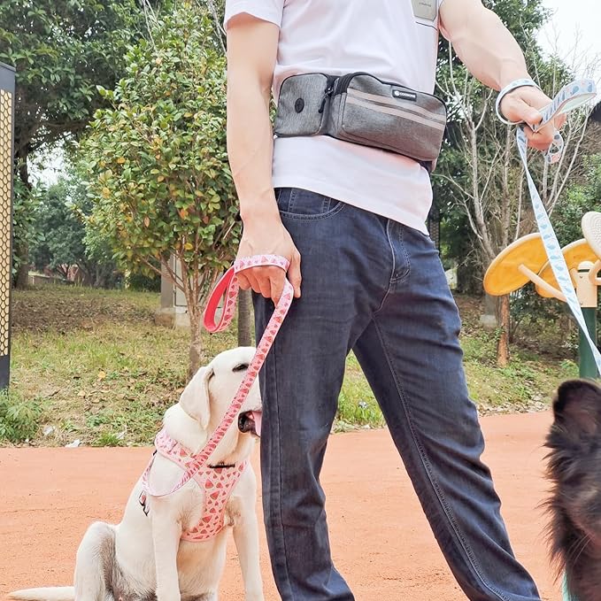 Hands Free Leash with Walking Fanny Pack for Large Medium Small Dogs, Heavy Duty Durable Reflective Waist Bungee for Training, Night Walking Running Jogging Hiking