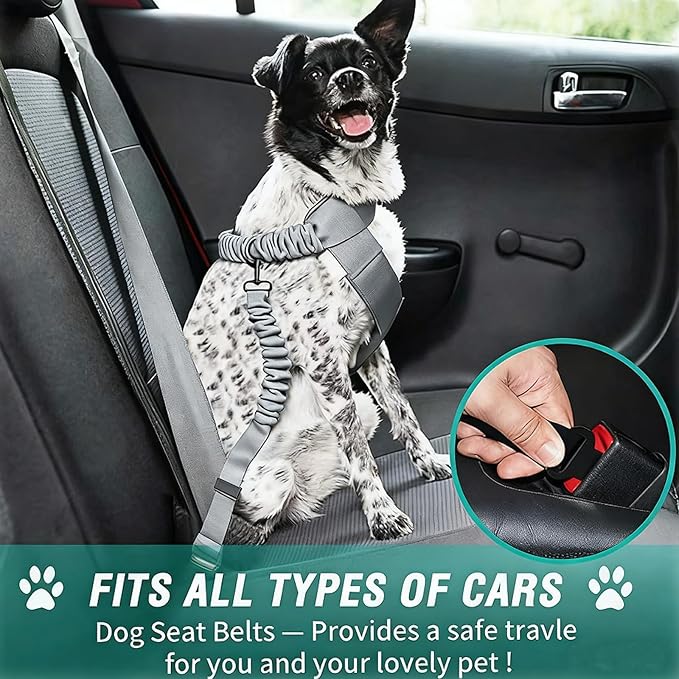 Dog Seat Belt for Car, Retractable Adjustable Nylon Pet Seatbelts for Vehicle Headrests, Elastic & Durable Car Harness, Dogs Leash Accessories for Bicycles (Only Leash Gray)