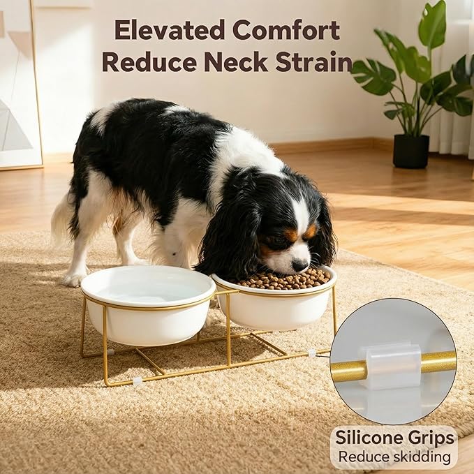 Elevated Dog Bowls for Food and Water - Double Ceramic Bowls with Metal Stand - Raised Feeding Station for Small and Medium Dogs - Each Holds 600ml / 3.2 Cups (Approx. 320g) - White