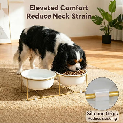 Elevated Dog Bowls for Food and Water - Double Ceramic Bowls with Metal Stand - Raised Feeding Station for Small and Medium Dogs - Each Holds 600ml / 3.2 Cups (Approx. 320g) - White