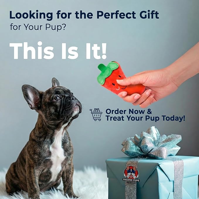 Pacific Pups Products 9-Pack Dog Toys for Small & Medium Dogs – Puppy Toys Set with Rope Toys, Chew Toys, Tug Toys, Plush & Squeaky Toys – Dog Toy Variety Pack