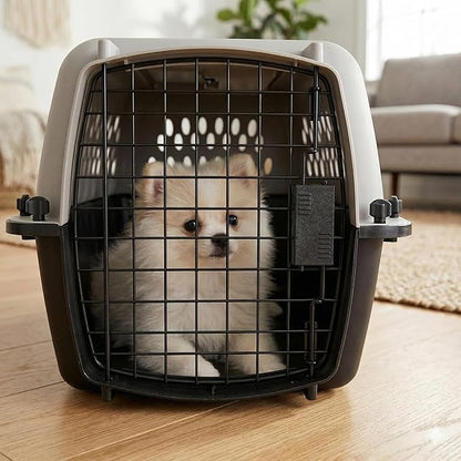 Hard-Sided Pet Travel Carrier for Small Dogs and Cats, 23-Inch Portable Plastic Kennel with Steel Wire Door, Secure Latch, and 360-Degree Ventilation for Vet Visits and Training