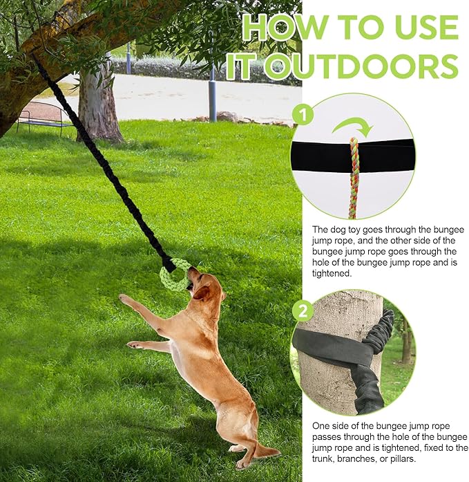 Dog Rope Toys Set with Door Anchor, Interactive Bungee Tug Toy for Indoor and Outdoor Play, Black and Green