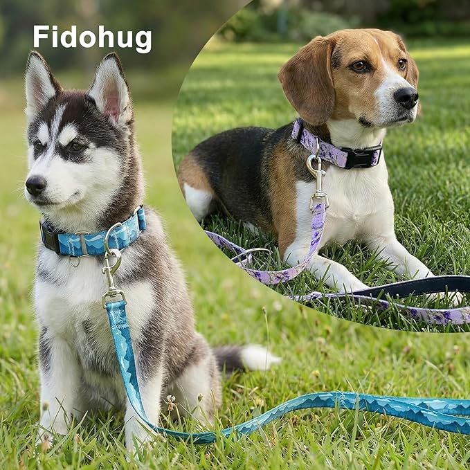 Dog Leash for Small Dogs, 5ft Dog Lead with Padded Handle, Cute Purple Dog Leash for Walking, Lavender Lily