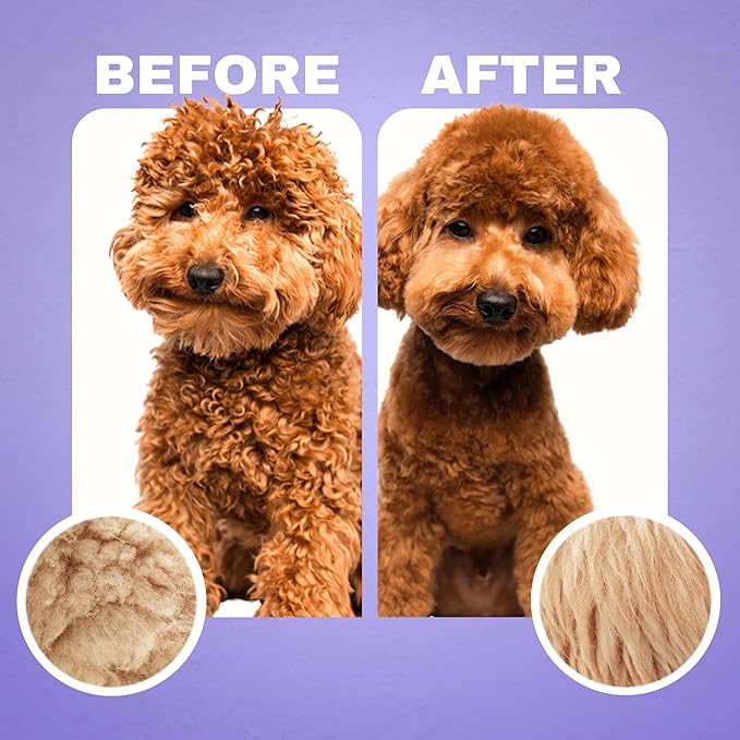Dog Shampoo and Conditioner for Doodle - All Natural Dog Shampoo for Smelly Dogs, Sensitive Skin Pet Shampoo for Dogs, Goldendoodle, Doodles, Poodle, Puppy Shampoo and Conditioner - Dog Soap