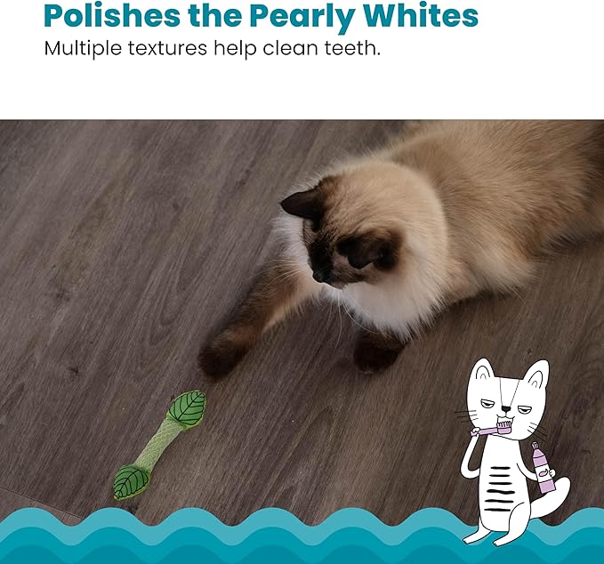 Catstages Fresh Breath Mint Stick Dental Cat Chew Toy with Catmint, Teeth Cleaning & Fresh Breath, Solo or Interactive Play, Green
