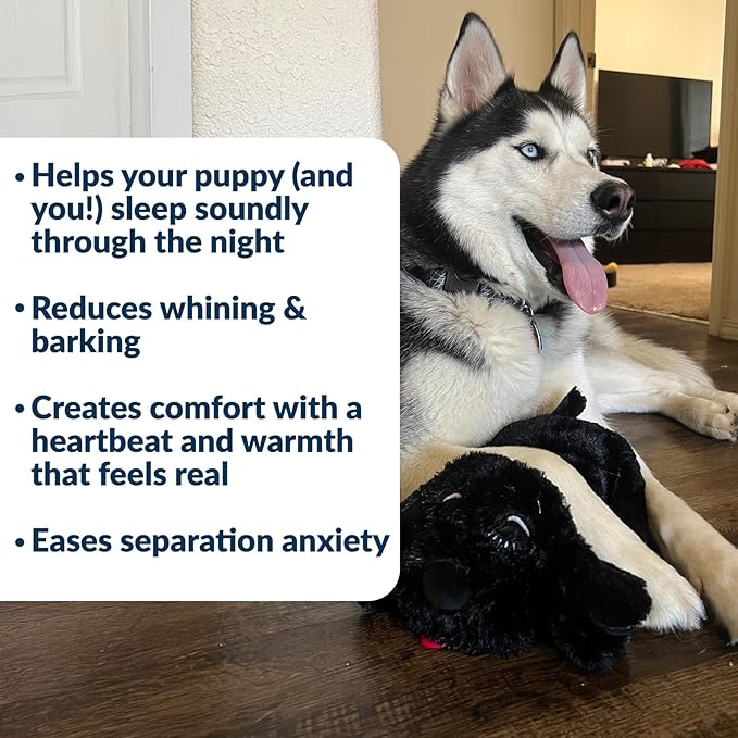 Snuggle Puppy Heartbeat Dog Toy for Puppies, Real-Feel Heartbeat, Calming Sleep Aid and Crate Training Comfort Toy with Heat Pack, Black Plush Design