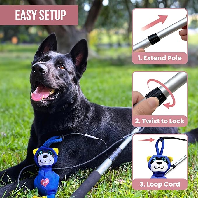 Flirt Pole for Dogs Heavy Duty - Multi-Sensory Tough Chase Toy for Medium & Large Breeds – Extra Strong 35" Dog Teaser Wand for Backyard Play, Training and Interactive Fun (Raccoon)