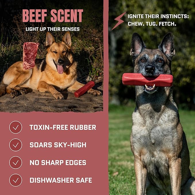 Virtually Indestructible Dog Stick Toy - Lifetime Replacement - Durable Chew Toy for Aggressive Chewers - Safe Non-Toxic Natural Rubber - Chew, Tug & Fetch - Med/Large, 8”x2” - Beef Scent
