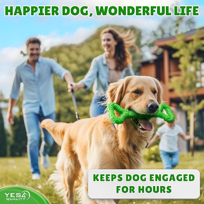 YES4QUALITY Dog Chew Toy - Durable Chew Bone for Medium & Large Dogs - 13", Green - Tough Rubber Tug-of-War Bone Pet Toy for Aggressive Chewers - Bumpy Design for Puppy Teething