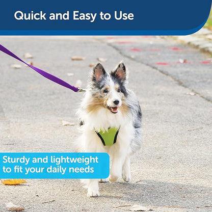 PetSafe Nylon Leash - Helps Maintain Secure Connection on Walks - Durable Pet Leash with Easy Clip - 1 in. x 6 ft. - Deep Purple