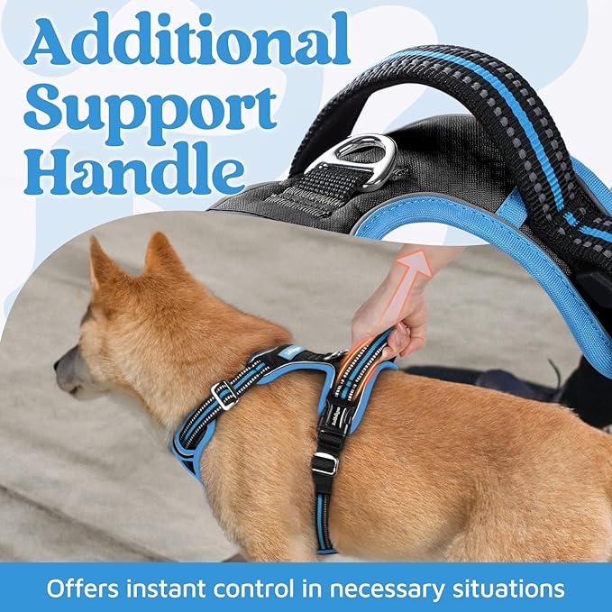 rabbitgoo Dog Harness for Large Dogs, No Pull Pet Vest with 3 Buckles, Adjustable Soft Padded Pet Harness with Easy Control Handle and Reflective Strips, Black & Sky Blue, XL