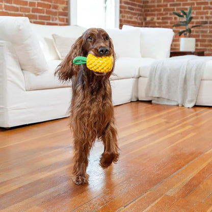 Outward Hound Dental Pineapple Dog Toy & Treat Stuffer, 6.8″ x 3.3″ Pineapple-Scent Interactive Chew for Dogs, Promote Healthy Teeth, Gums & Mental Enrichment, Reduce Boredom & Support Dental Health