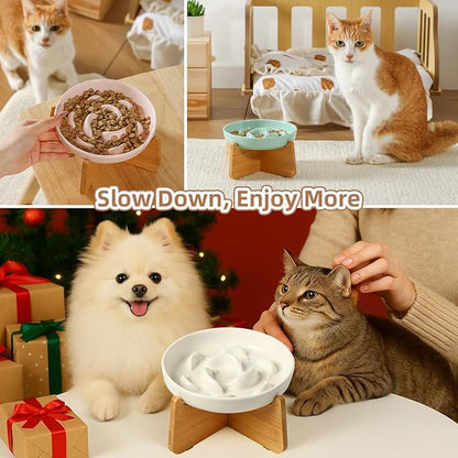 Elevated Slow Feeder Cat Bowl - Ceramic Cat Food Dish with Anti-Slip Bamboo Stand - Whisker Friendly Feeding Bowl - Raised Maze Plate for Slow Down Eating - Ivory White