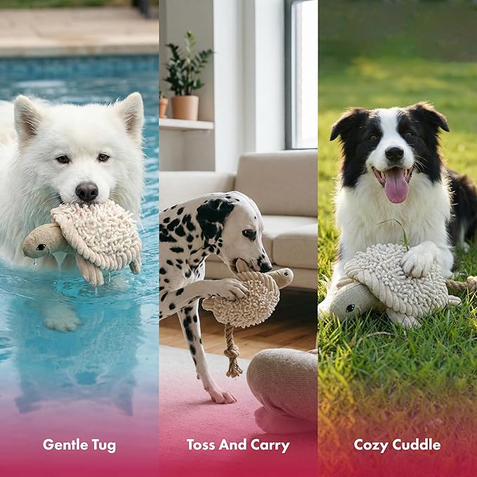 Pet Lou 6 Inch Turtle Dog Chew Toy with Squeaker, Durable Nubby Multi-Texture Plush Toy for Indoor & Outdoor Play, Stuffed Dog Toy for Teething, 100% Natural