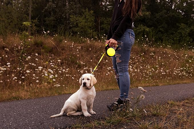 WIGZI Reflective Gel Retractable Leash, Yellow, Small