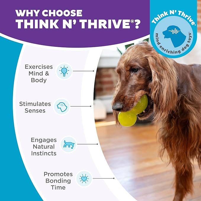 Outward Hound Double-Tuff Stuffable Dog Toy, Large 5-Inch Green - Treat Dispensing Chew Ball for Medium to Large Dogs, Interactive Puzzle for Enrichment & Slow Feeding (Pack of 2)