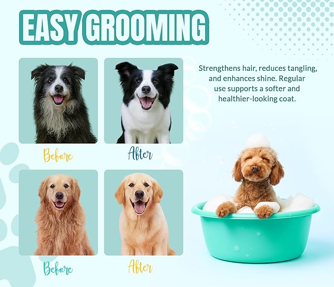ALFIE'S CHOICE Dog Shampoo for Dry Itchy Skin | Calm & Comfort Shampoo and Conditioner Set | 16 fl oz Each | Lavender, Rosemary & Vitamin E | for Sensitive Skin & All Breeds | Made in USA