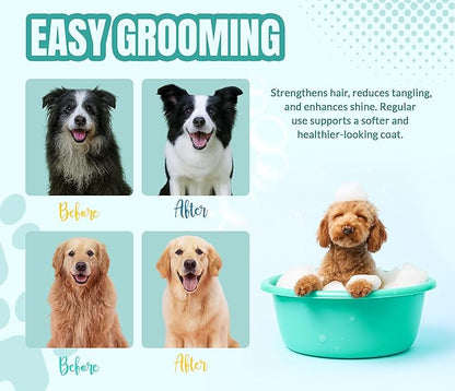 ALFIE'S CHOICE Dog Shampoo for Dry Itchy Skin | Calm & Comfort Shampoo and Conditioner Set | 16 fl oz Each | Lavender, Rosemary & Vitamin E | for Sensitive Skin & All Breeds | Made in USA
