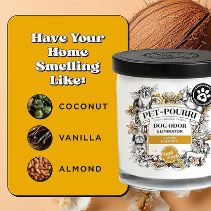 Pet-Pourri Canine Coconut Dog Deodorizer Candle – Puppy & Dog Safe – Plant Based Ingredients & Wax – Vet Approved – Aromatherapy & Air Freshener for Pet Odor – Scented with Bamboo, Jasmine & Pear