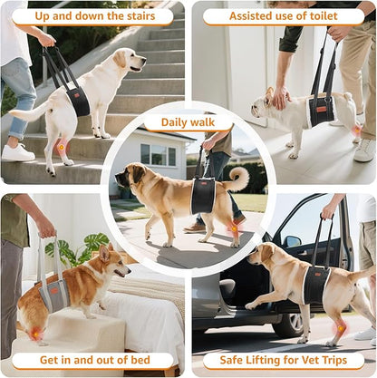 LOOBANI Portable Dog Sling for Back Legs, Hip Support Harness to Help Lift Dogs Rear for Canine Aid and Old K9 Cruciate Ligament Rehabilitation