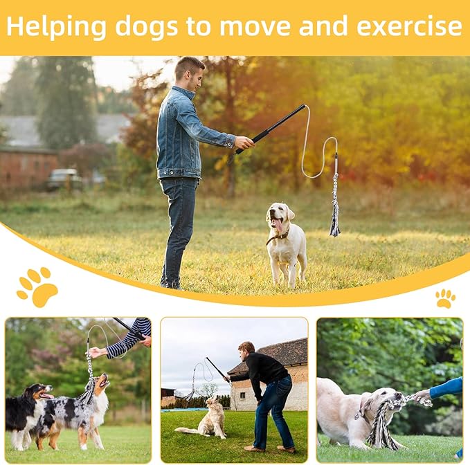 Outdoor Flirt Pole for Dogs - Interactive Toy Teaser Wand for Dogs Outdoor Chase and Tug of War Heavy Duty Dog Flirt Pole, Durable Pet Toys for Dog, Black