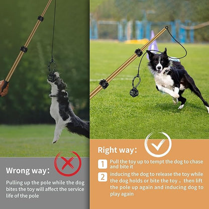 Flirt Pole for Dogs, Interactive Toys Tug-of-war for Pet, Durable Teaser Wand, Chase Toys with Rope Chewing Sticks, for Outdoor Exercise & Training