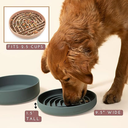 Should We Go? Slow Feeder for Dogs & Puppies, The Slowdown Bowl Silicone Slow Eating, Modern Lick Mat Design, Reduces Gulping, Fits 2.5 Cups, 9.5” Across x 1.5” Tall, Mealtime Challenge, Large-Spruce