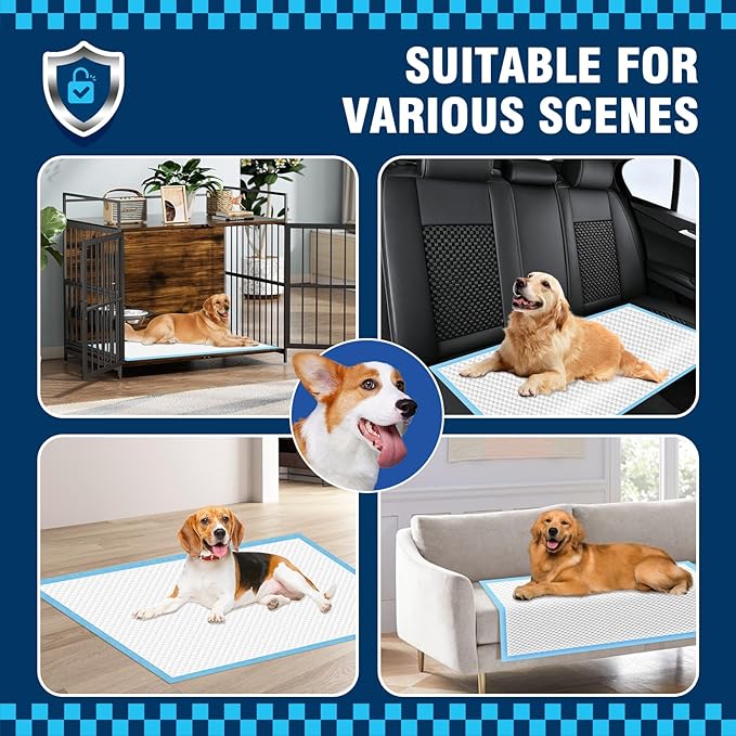 Dog Pads 100 Pack 30"x35", Dog Pads Extra Large for Pets, Disposable Large Pee Pads for Doggy & Puppy Training Pads, Piddle Pads for Indoor, Outdoor Use