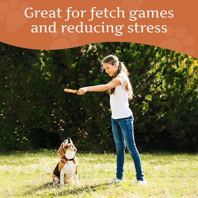Wildfang® Olive Wood Chewing Sticks for Dogs, Small - Tough Chew Toys for Aggressive Chewers, Puppy Chew Toys for Teething, Training for Chewing Muscles, Olive Wood Stick for Dog (Under 33lbs), 3pack