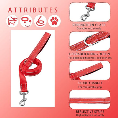Reflective Dog Collar with Safety Locking Buckle, Adjustable Soft Breathable Nylon Collars for Small, Medium and Large Dogs(Collar+Leash XS Width 5/8" Red)