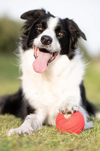 Nerf Dog Rubber Ball Dog Toy with Interactive Squeaker, Lightweight, Durable and Water Resistant, 4 Inch Diameter for Medium/Large Breeds, Single Unit, Red