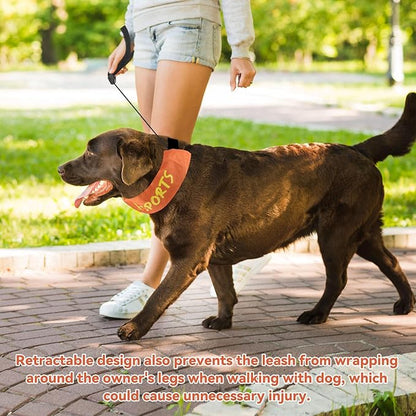 2 in 1 Dog Collar with Retractable Dogs Leash, Adjustable Dog Collar for Medium to Large Dogs