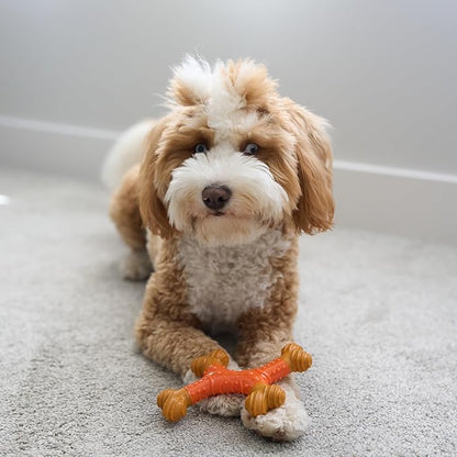 SPOT Bam-Bones Dental X-Bone - Made with Bamboo Fiber and a Massaging Rubber Center, Durable Oral Care Dog Chew for Light Chewers & Teething Puppies under 25lbs, 6in Allergen Free Peanut Butter Flavor