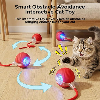 Interactive electric automatic 360 rolling USB rechargeable motion-sensing toy smart chasing cat ball, equipped with a quick tail rope, specially designed for active adult cats and indoor dogs.