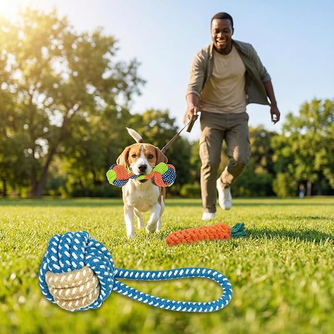Dog Rope Toys for Small Dogs, 3 Pack Durable Cotton Rope Dog Toys for Aggressive Chewers, Interactive Tug of War Puppy Chew Toys for Teeth Cleaning, Carrot Rope Toy, Rope Ball & Knotted Rope