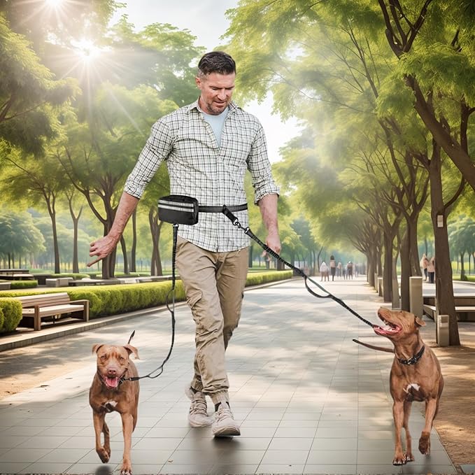 Hands Free Dog Leash with Pouch, Dual Attachment for Two Dogs, Retractable Bungee with Double Padded Handles, Waist-Mounted for Running,Walking, Jogging Friendly Dog Accessories (Black/Mint Green)