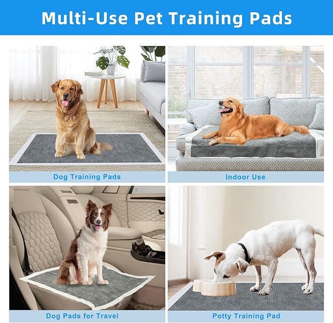 60pcs Charcoal Puppy Pads - Extra Large 24" x 36" Carbon Odor Control, 6-Layer Leak-Proof & Quick Dry Dog Training Pads